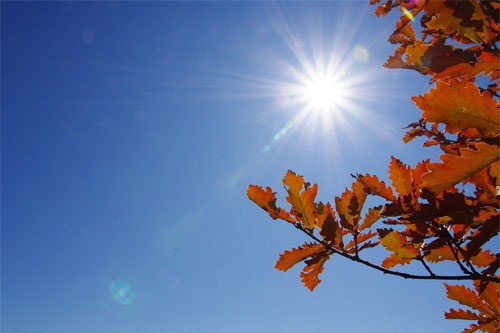 告别高(gāo)清監控盲點 防逆光(guāng)監控産品誕生(shēng) 